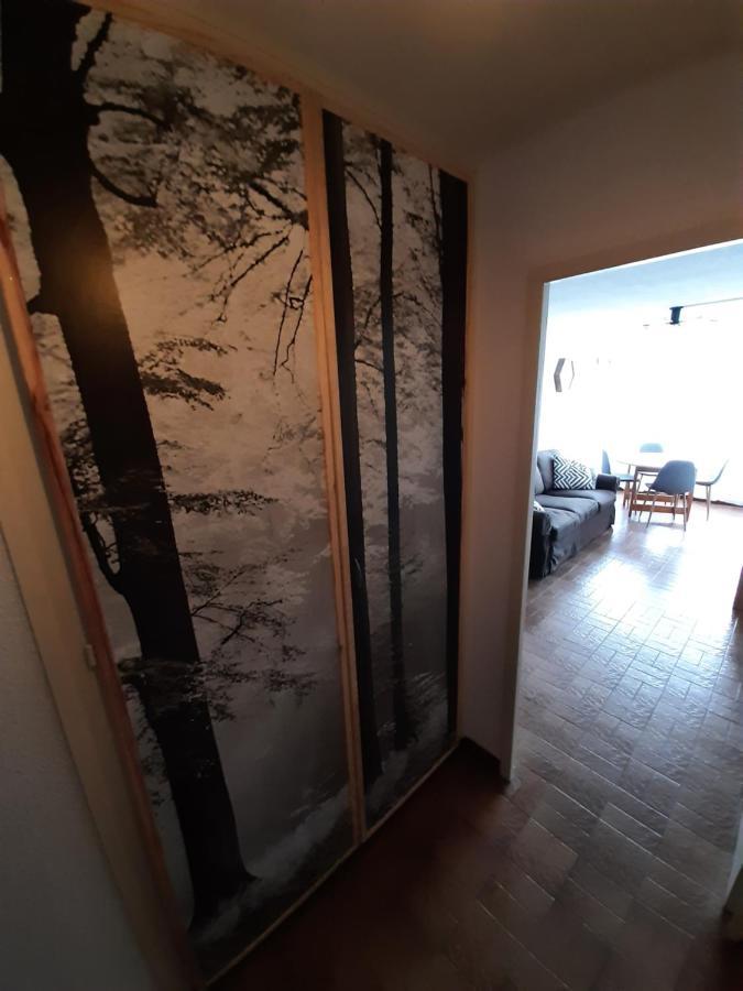 Appartement Avec Terrasse Centre サモエンヌ エクステリア 写真