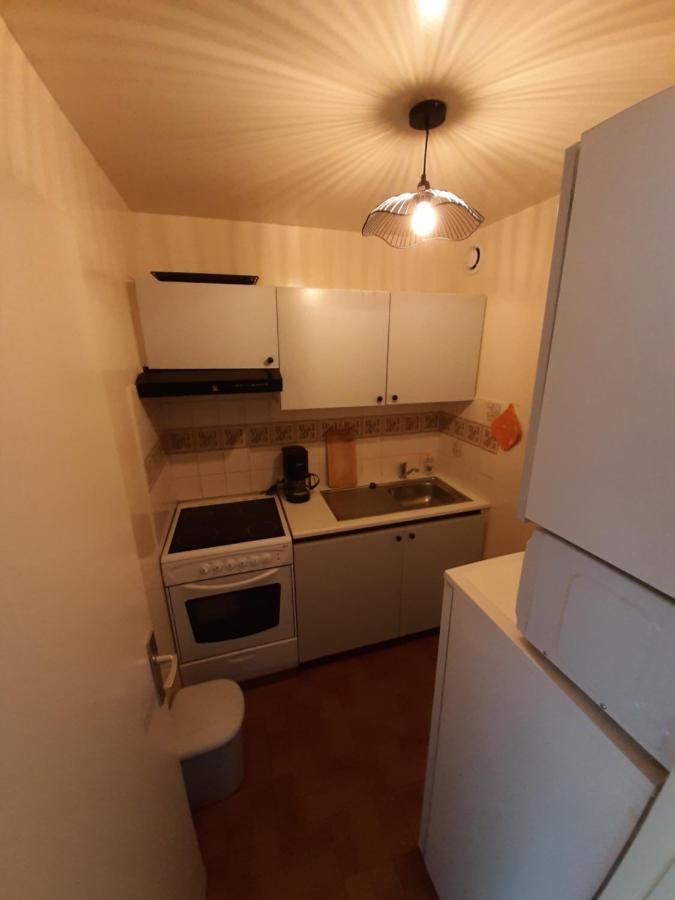 Appartement Avec Terrasse Centre サモエンヌ エクステリア 写真